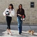 Filename=image036.jpg
Filesize=667KiB
Dimensions=2500x1666
Date added=Oct 20, 2025 image036.jpg