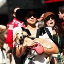 Filename=image026.jpg
Filesize=121KiB
Dimensions=1300x866
Date added=Oct 20, 2025 image026.jpg