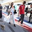 Filename=image029.jpg
Filesize=730KiB
Dimensions=2500x1666
Date added=Oct 20, 2025 image029.jpg