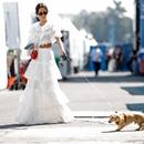 Filename=image001~0.jpg
Filesize=298KiB
Dimensions=1924x2500
Date added=Oct 27, 2025 image001~0.jpg