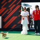 Filename=image021.jpg
Filesize=378KiB
Dimensions=2500x1666
Date added=Oct 24, 2025 image021.jpg