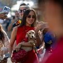 Filename=image010~0.jpg
Filesize=298KiB
Dimensions=2500x1667
Date added=Oct 27, 2025 image010~0.jpg