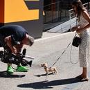 Filename=image149.jpg
Filesize=669KiB
Dimensions=2500x1667
Date added=Aug 22, 2025 image149.jpg